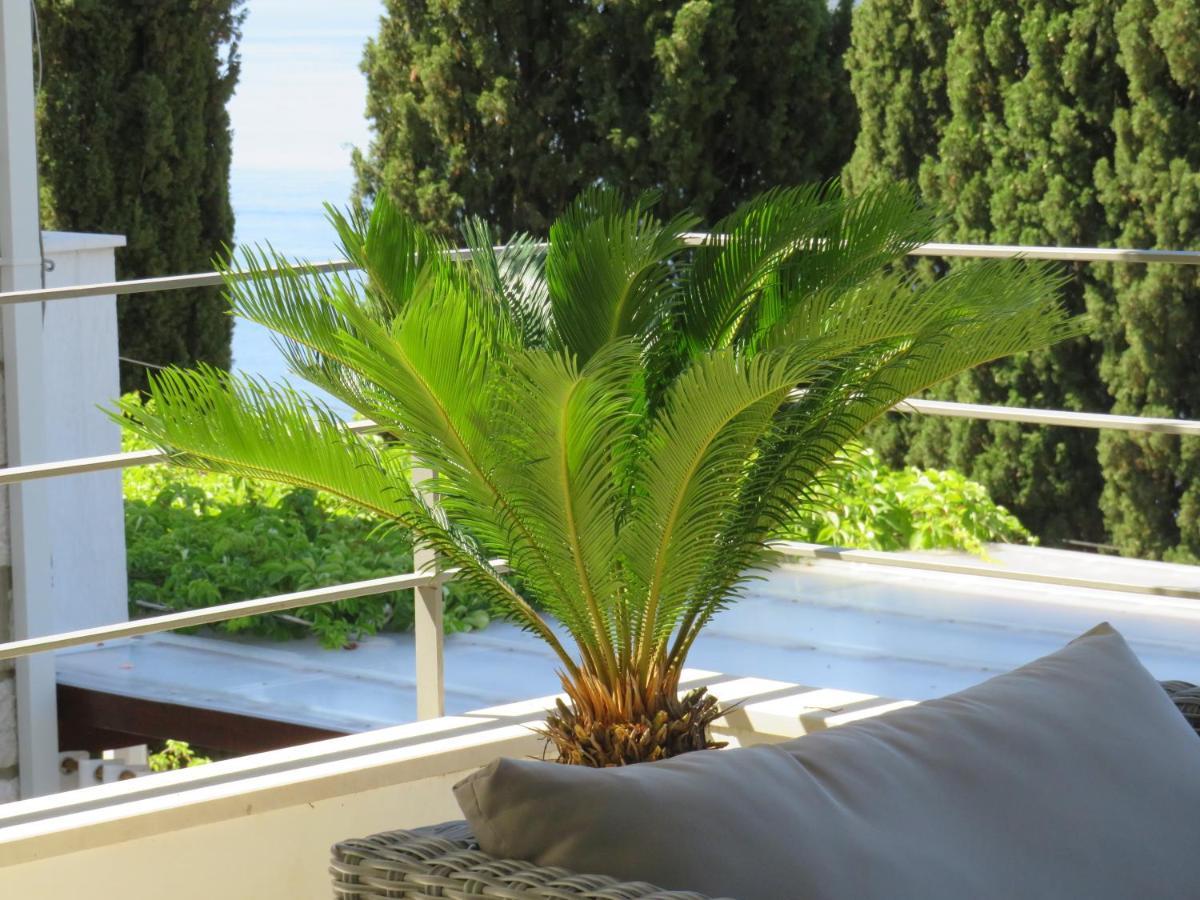 Villa King Dubrovnik Kültér fotó
